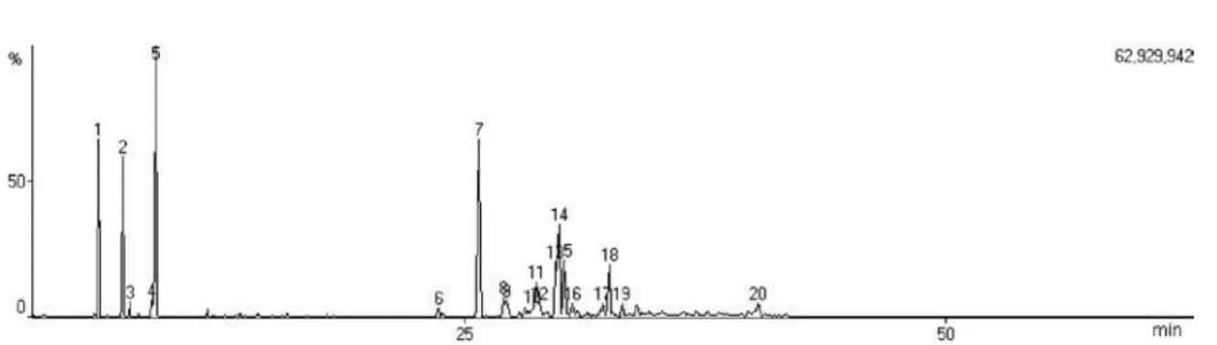 Figure S2. Total ion chromatogram (TIC) of essential oil from E. dysenterica leaves cultivated from seeds from Senador Canedo (SC) and collected  during summer.