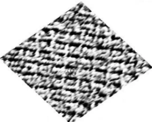 Figure  3.  CH  STM  image  of Au-HPYT  after  exposure  to  a  standard  coronene  solution