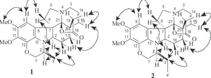 Figure 2. Selected NOESY correlations and relative stereochemistry for spruceanumines A (1) and B (2)