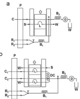 Figure 2. Flow diagram of the system for captopril determination with (a)  manual or (b) on-line sample dilution