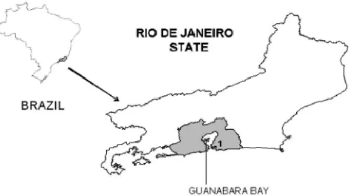 Figure  1.  Map  of  Brazil  indicating  Rio  de  Janeiro  State  (gray  area). 