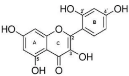 Figure 1. Molecular structure of morin.