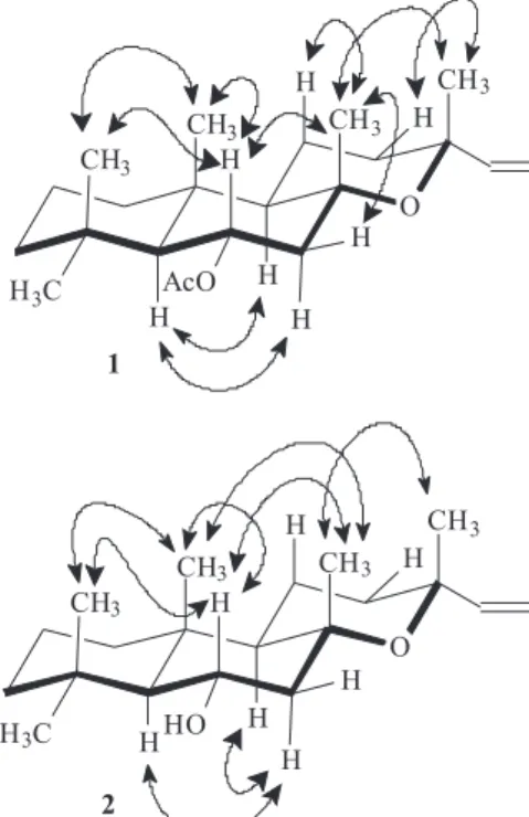 Figure 2. Selected NOESY correlations (depicted by double arrows) for  compounds 1 and 2.