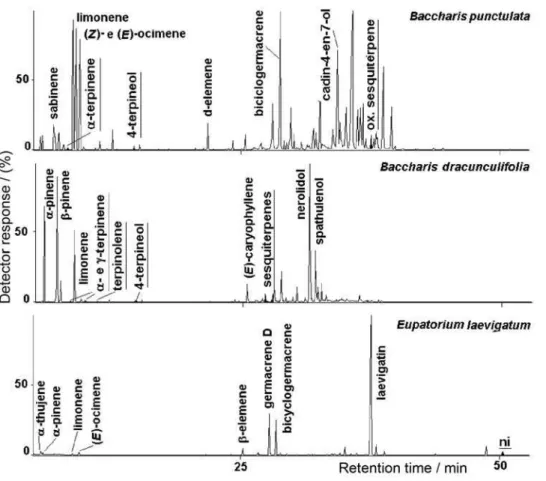 Figure 1. Chromatographic profile of the essential oils of Baccharis punctulata, Baccharis dracunculifolia, and Eupatorium laevigatum.
