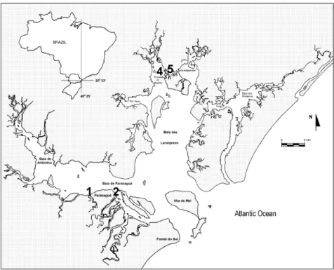 Figure 1. Paranaguá Bay map and the position of samples collected of polluted (P) (1 and 2) and non-polluted (NP) (4 and 5) sampling stations.