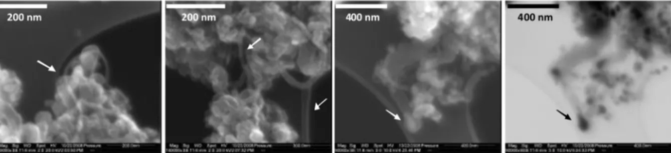 Figure S13. SEM images of the suspended material in sample RmEt700.