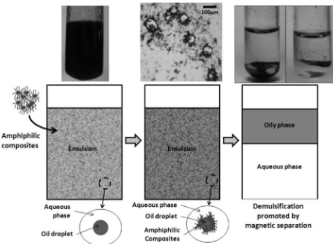 Figure 2. TEM images for RmEt 700, 800 and 900. 