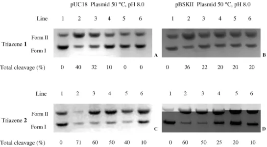 Figure 4. Total cleavage (%) of pUC18 and pBSKII plasmid DNA by triazenes 1 and 2. Lane 1: control plasmid DNA (untreated pUC18 and pBSKII); 