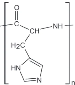 Figure 1. Molecular structure of poly- L -histidine.