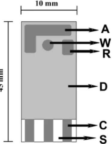 Figure  2.  Screen-printed  carbon  electrode  used  in  the  voltammetric  measurements