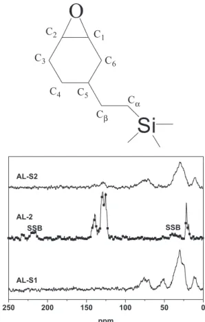 Figure 4. Chemical structure of the SCA at the surface of AL-S1 and 
