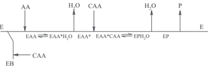 Table  3.  The  kinetic  parameters  for  the  synthesis  of  4,6-dimethyl-3- 4,6-dimethyl-3-cyano-2-pyridone Parameter Value V max 779 (± 9.82) µmol mL -1  h -1 K m,A  2.02·10 -5  (± 0.91 ⋅ 10 -6 ) mol mL -1 K m,B  10.6·10 -3  (± 3.34 ⋅ 10 -4 ) mol mL -1 