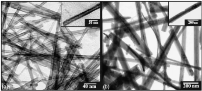Figure 1a and 1b shows TEM images of the as-prepared  NTTiOx  and  NRTiOx,  respectively