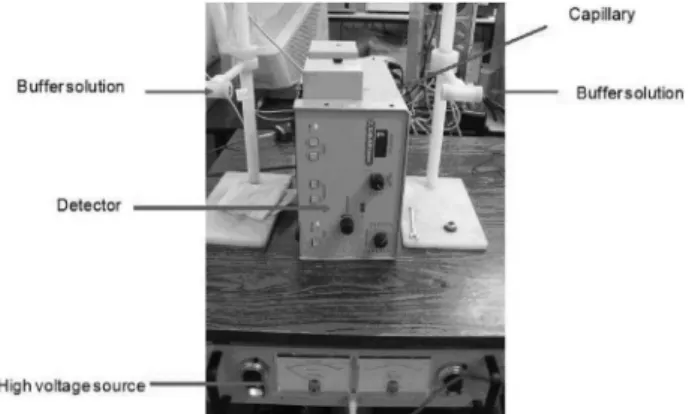 Figure  1.  Capillary  electrophoresis  system  used,  composed  of  a  high  tension source, silica capillary, reservoirs for buffers, detector system.