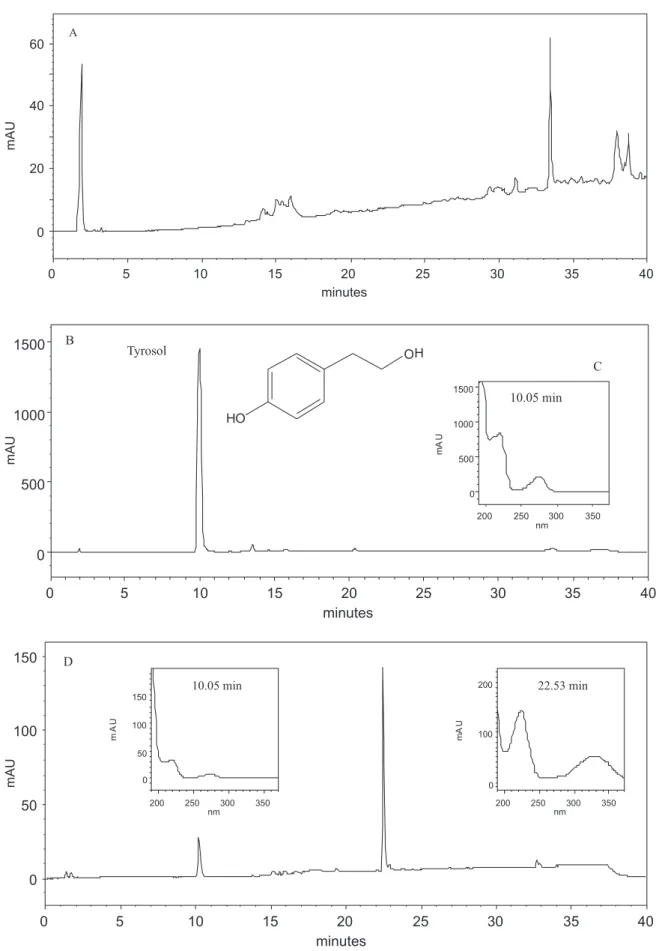 Figure 1. (A) Chromatogram referring to the analysis of medium culture blank. (B) Chromatogram referring to the analysis of tyrosol t R  = 10.05 min; 