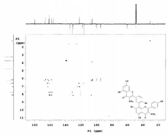 Figure S9. HSQC NMR experiment (CD 3 OD, 500×125 MHz)  of the compound 1 isolated of  N anuza p licata.