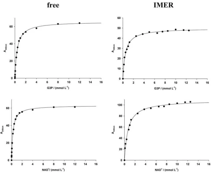 Figure 1. Michaelis-Menten kinetics for T. cruzi GAPDH in free solution and IMER format
