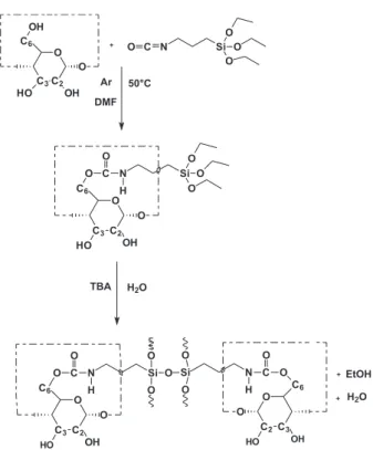 Figure 1. Schematic reaction of β-CD and IPTS and the hydrolysis and  condensation reactions.