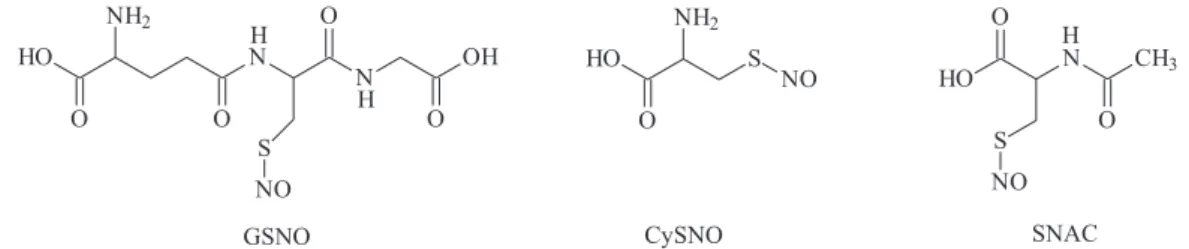 Figure 1. Molecular structures of S-nitroso- L -cysteine (CySNO), S-nitroso-N-acetylcysteine (SNAC) and S-nitrosoglutathione (GSNO).