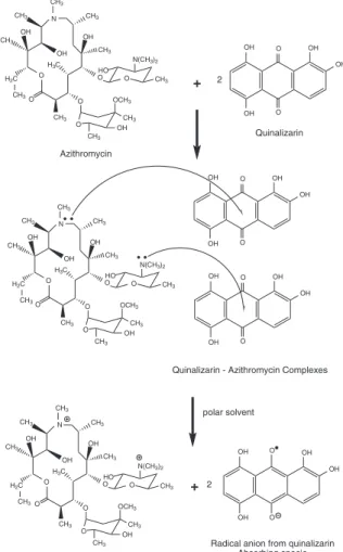 Figure 6. Possible mechanism of radical anion formation from quinalizarin  and azithromycin reaction.