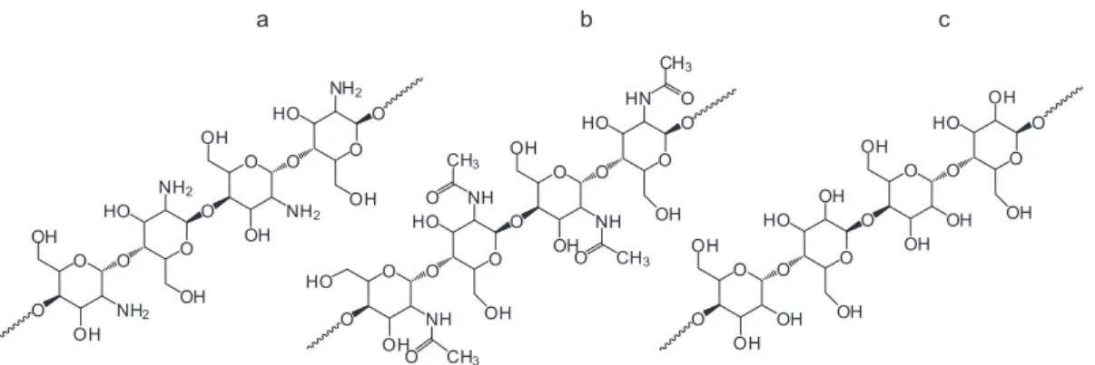 Figure 1. Structures of (a) chitosan, (b) chitin, (c) cellulose.