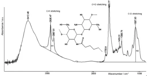 Figure 3. FTIR spectrum of grafted chitosan sample with DI = 35%.