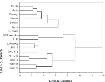 Figure 2. Dendrogram obtained by cluster analysis of bean cultivars using  Ward’s linkage method.