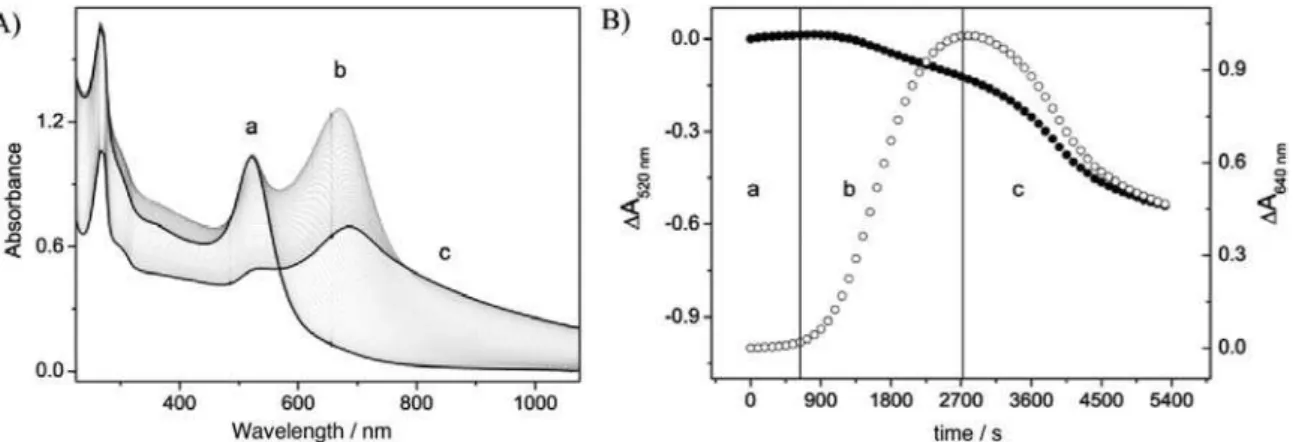 Figure 9. Changes of the UV-Vis spectra of cit-AuNps upon addition of pzt (1×10 -5  mol dm -3 ) A) as a function of time and B) as function of individual  (520 nm) and coupled plasmon bands (640 nm); (a) ligand exchange reaction (t = 0 min), (b) locculatio