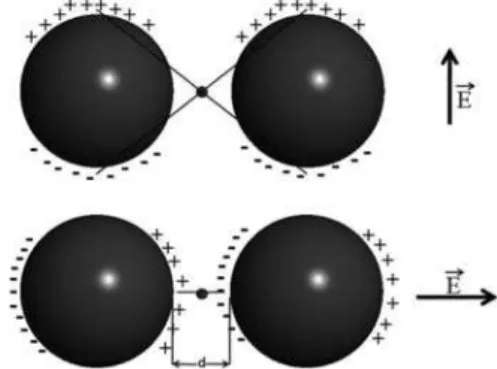 Figure 4. Molecules located within the interparticle region experience a  much intense electric ield when the axis of the oscillating electric dipole  of  the  incident  light  coincides  with  that  of  the  longitudinal  plasmon  resonance.