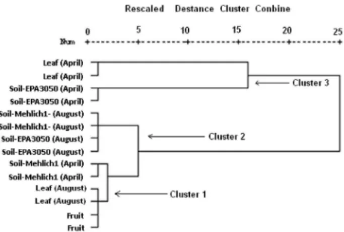 Figure 2. Dendogram of cluster analysis (Ward’s method) of organic and  organic shaded farms.