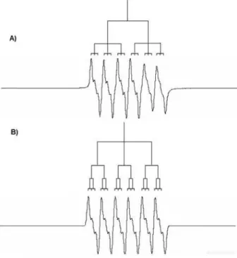 Figure  2.  EPR  simulated  hyperine  patterns: A)  nitro  anion  radical  spectrum simulated in terms of one doublet accounting for one hydrogen  atom  (H-4)  and  two  triplets  assigned  to  two  nitrogen  atoms;  B)  nitro  anion radical spectrum simul