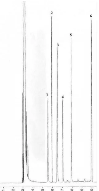Figure 1. GC of TMSI-derivatized sugars. DB-5 capillary column (60 m × 0.25 mm, 0.25 µm)