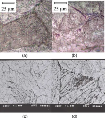 Table 1. Parameters obtained from the polarization curves for annealed  Cu-9%Al-5%Ni-2%Mn alloy in different NaCl concentrations and pHs