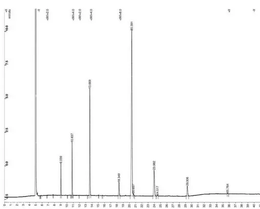 Figure S7. GC-FID chromatogram of fatty acids in inaja pulp.