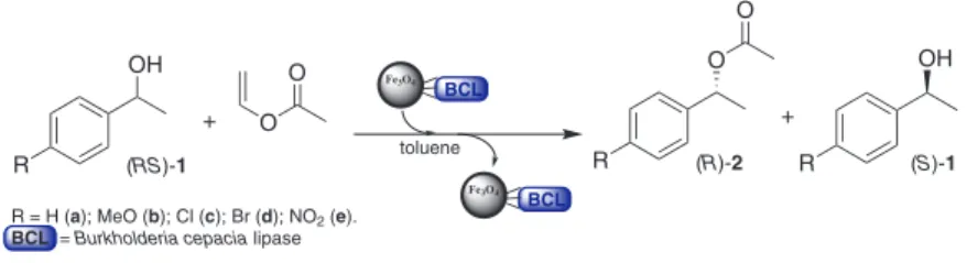 Figure 1. Comparison of the conversion obtained in the KR of (RS)-1a and  (RS)-1e catalyzed by free (Free BCL) and B