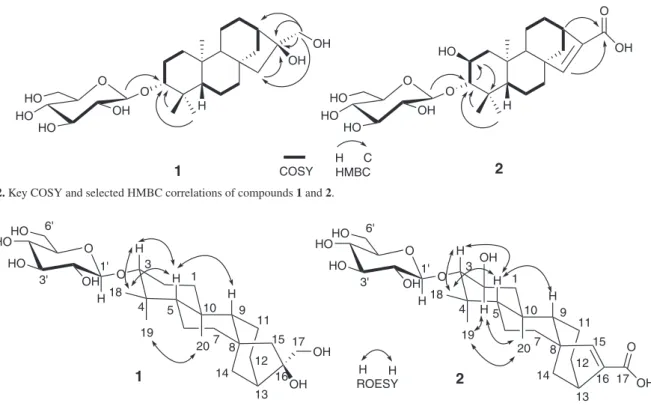 Figure 2. Key COSY and selected HMBC correlations of compounds 1 and 2.