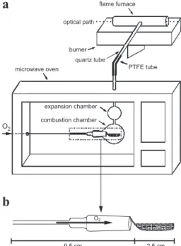 Figure 1. (a) MIC-FF-AAS device and (b) detail of quartz holder.