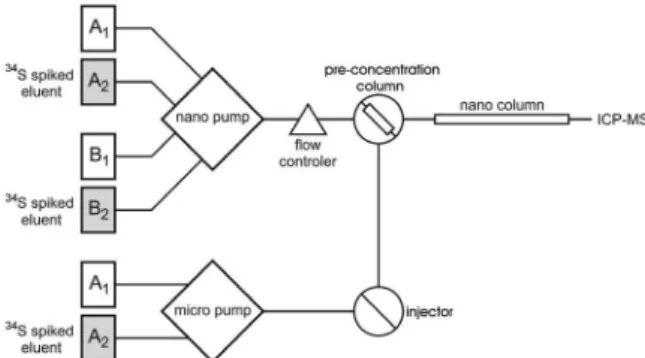 Figure 7. Scheme of the instrumental set-up for precolumn isotope dilution  analysis by nanoHPLC-ICP-MS