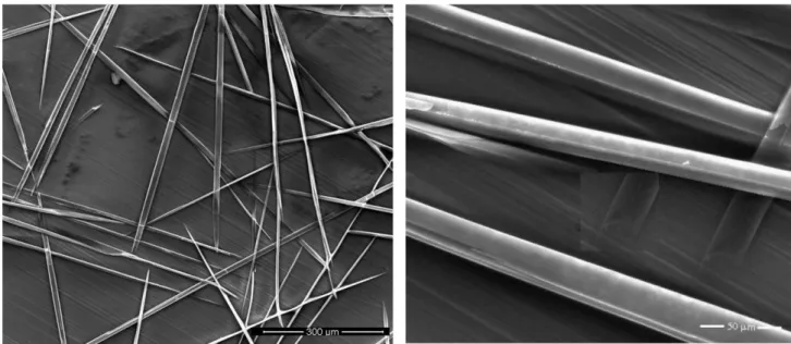 Figure 4. SEM images of structures formed after incubation of Co(ppIX) / H21(30-mer) complexes and evaporation at room temperature on copper tape