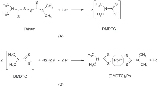 Figure 3. Schematic representation of (A) S-S bond cleavage on Hg surface polarized at −0.600 V; (B) of the formation of (DMDTC) 2 Pb on the electrode surface.