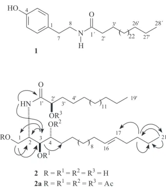 Figure  1.  Structures  of  compounds  1,  2  and  the  acetylated  derivative  2a. Key long-range correlations observed in the HMBC spectrum of 2.