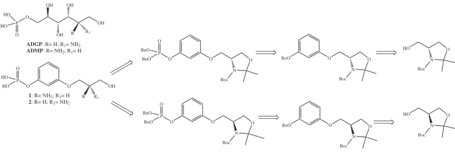 Figure 2. Retrosynthetic analysis leading to compounds 1 and 2, aromatic analogs of ADGP and ADMP, respectively.