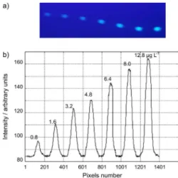 Figure  1.  Image  of  HPTLC  plate  acquired  by  the  CCD  camera  with  0.8, 1.6, 3.2, 4.8, 6.4, 8 and 12.8 μg L -1  of OTA standard solution