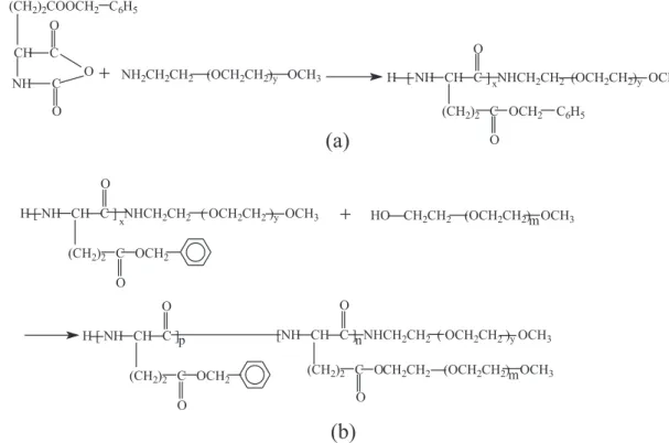 Figure 1. Syntheses of (a) PBLG-block-PEG and (b) PEG-b-PBLG-g-PEG.