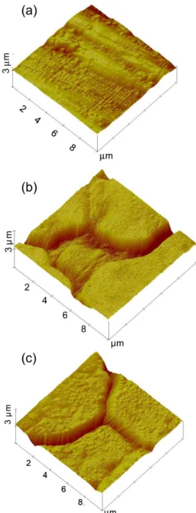Figure 2. Typical micrographs obtained by SEM for AISI-304 stainless- stainless-steel  (a)  non-coloured  (as  received)  and  previously  coloured  samples  using the triangular current scans method in (b) 5.0 mol L -1  H 2 SO 4  and  (c) 5.0 mol L -1  H 
