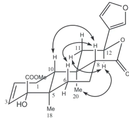 Figure 1. Structures of 1, 2 and 3. Figure 2. Signiicant NOESY correlations of 2.