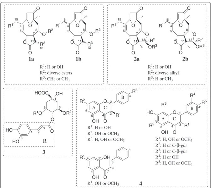 Figure 1. Classes of the major secondary metabolites occurring in leaf extracts of Lychnophora ericoides