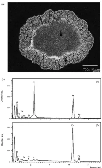 Figure 10 shows the particle size effect on the  decomposition rate of the arsenical natrojarosite
