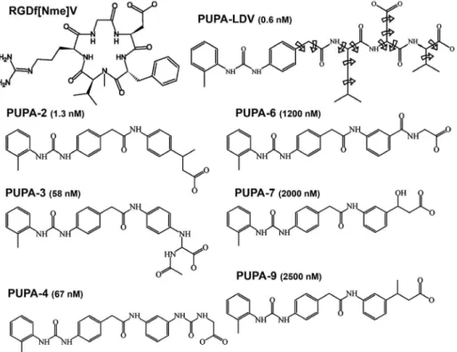 Figure 1. Scheme of PUPA-LDV and derivatives. Torsions free to rotate during docking process are marked with arrows