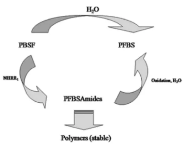 Figure 1. Outline of the production of PBSF-based materials.